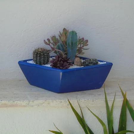 בית הארחה Likele