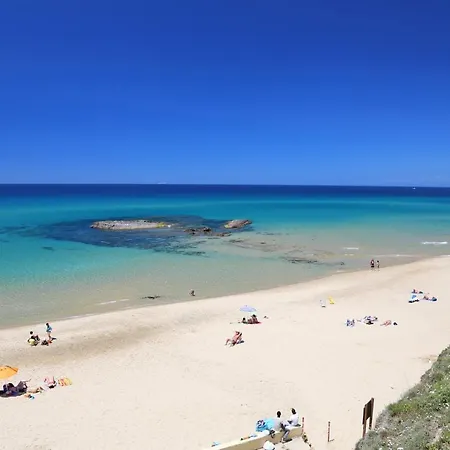 Likele 게스트하우스